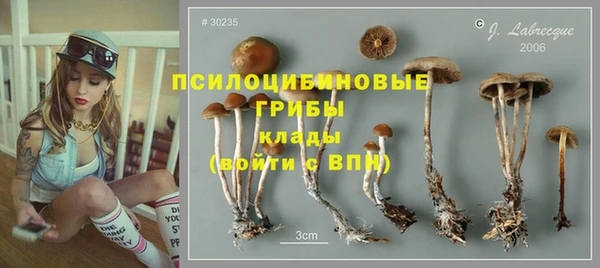 дживик Алексин